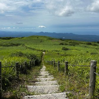 緑の天空への階段🪜✨を
今日は下る。
