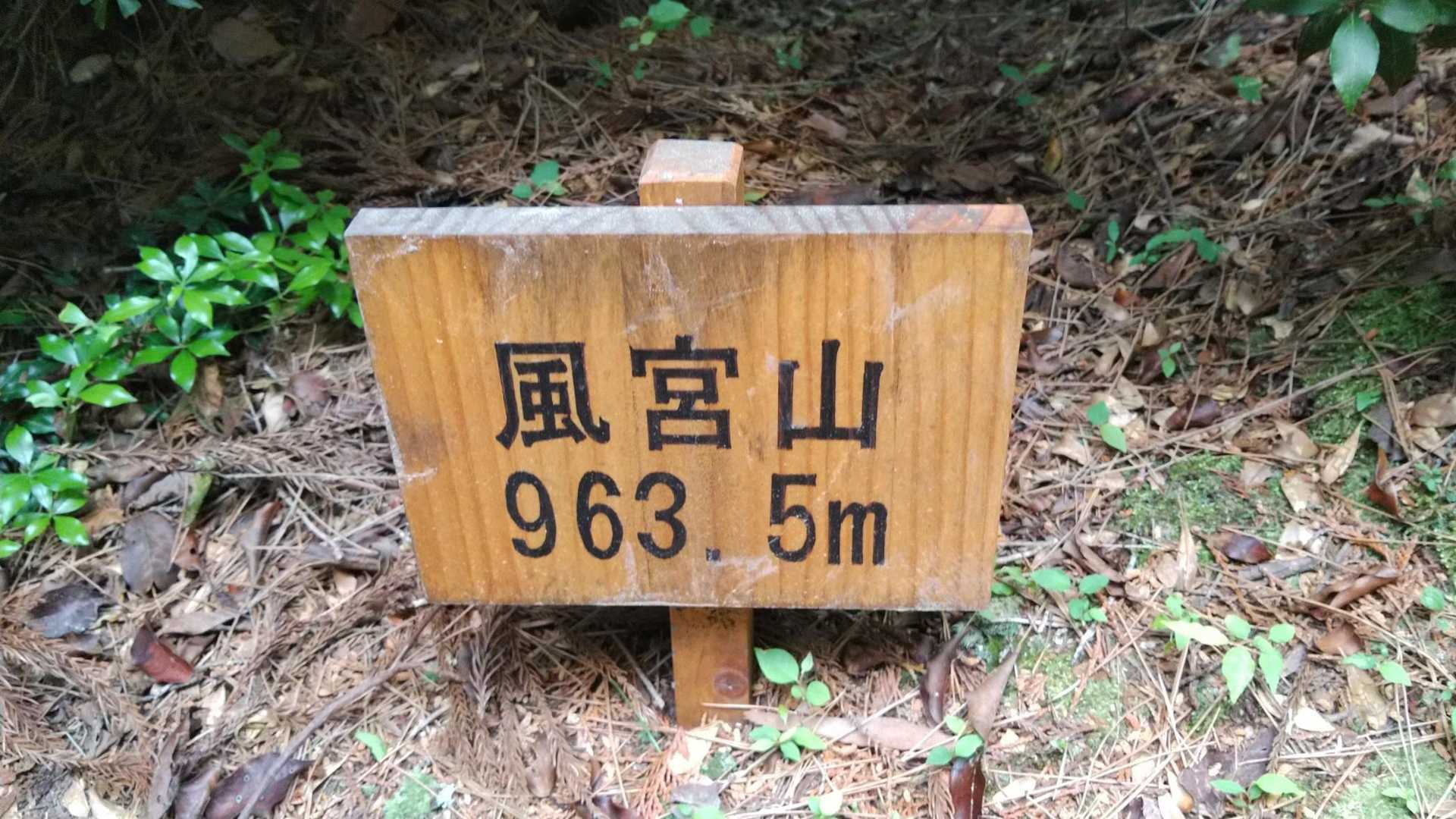 富貴山 往復コースの写真