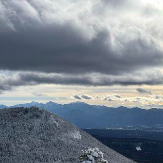 南アの陛下たちはクッキリ
