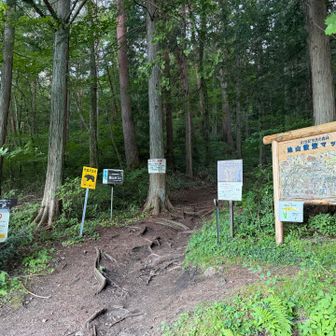 これがホントの登山口