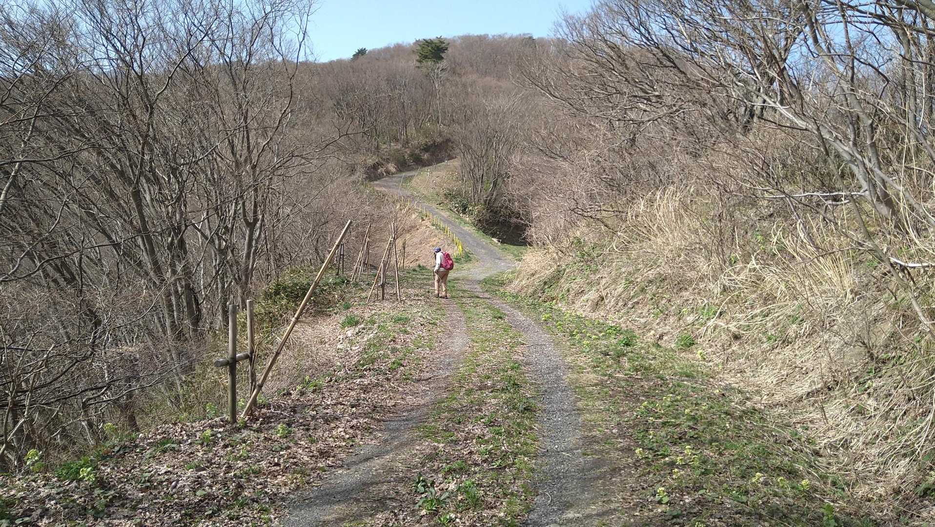 とにかく広くて登山道感がない