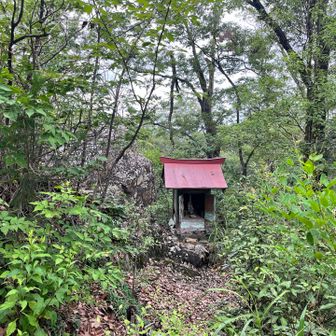 No.69助戸東山
ピーク付近
メマトイが半端無い