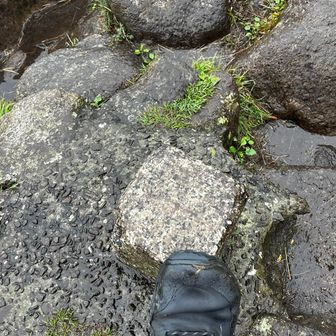 足ですいません