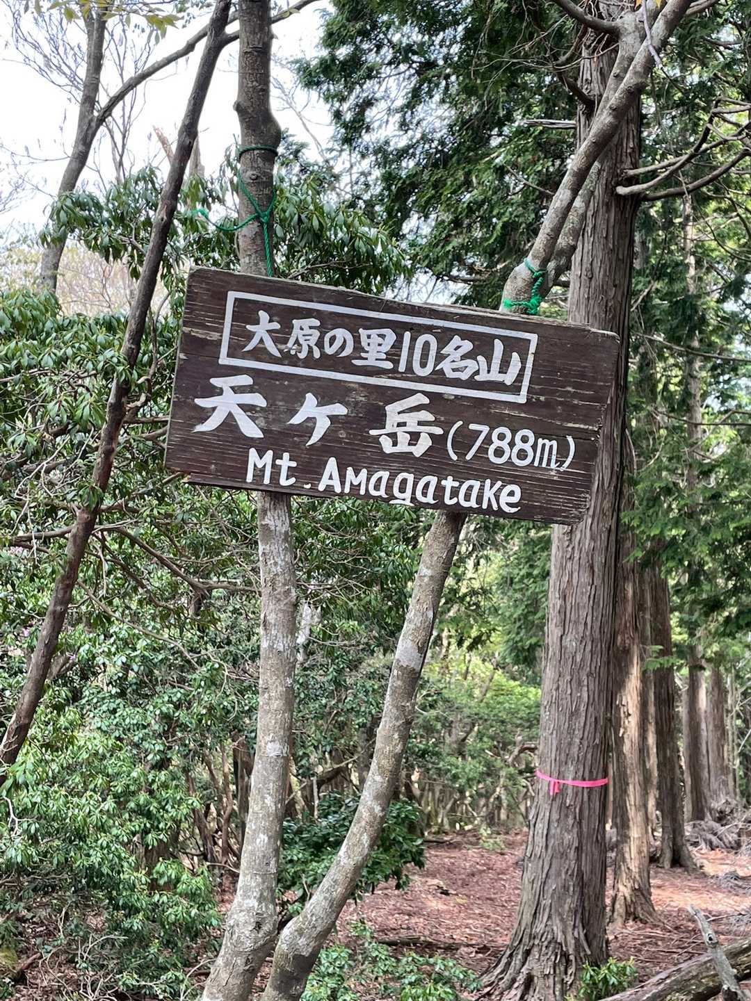 鞍馬駅-山門駅-戸谷峰-天ヶ岳-大原バス停 縦走コースの写真