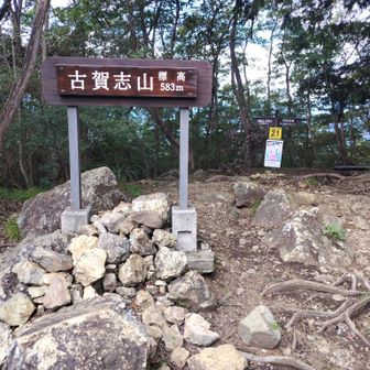 ４組くらいの方々がいました。