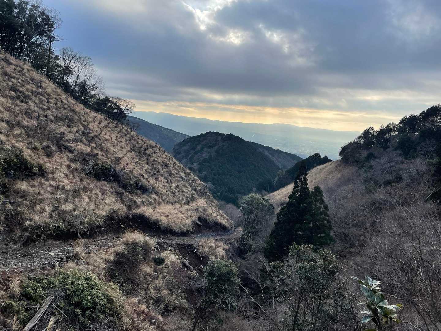 愛鷹山登山口-愛鷹山-馬場平-袴腰岳-一服峠 周回コースの写真