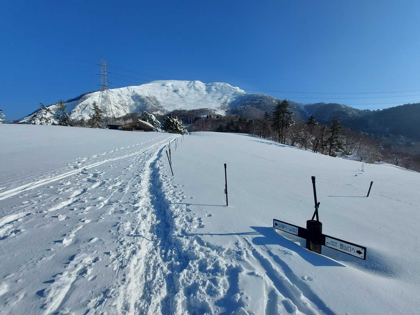 案内板が。。。
支柱、どれくらいの高さあるんかな？