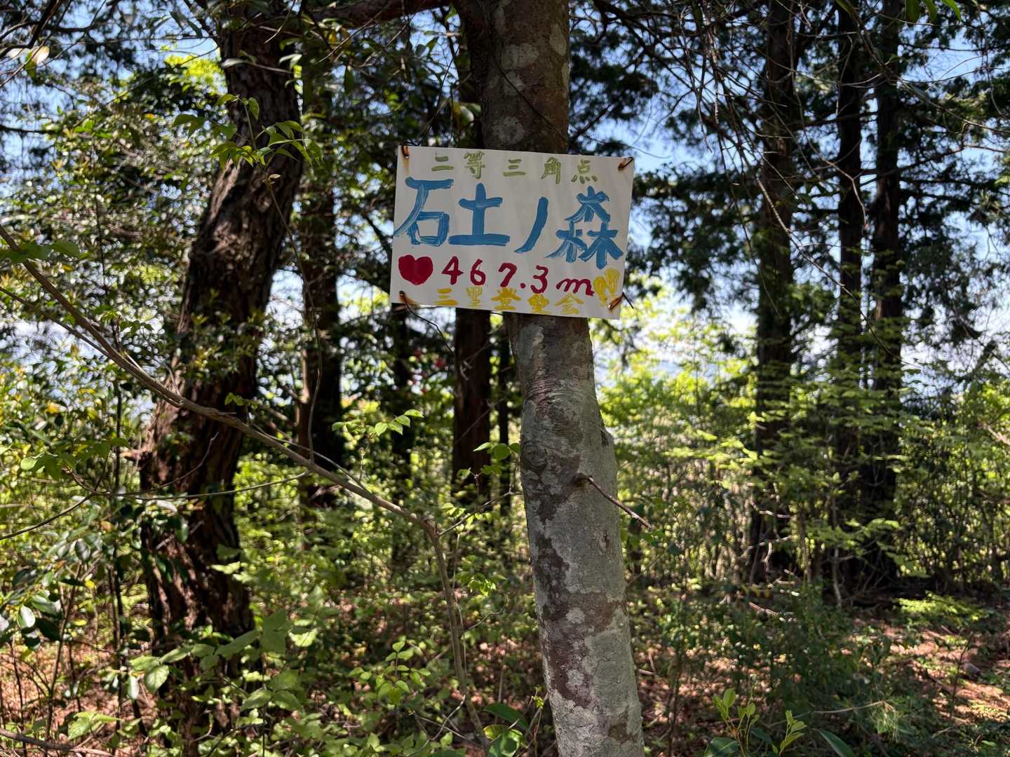 いちづちのもり　到着❣️
今まで　いしどのもり　って読んでました、、、🙇‍♀️