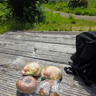 最近はパンを買ってお昼よりも自分で作ってます。今日はサンドイッチとベーグル〜