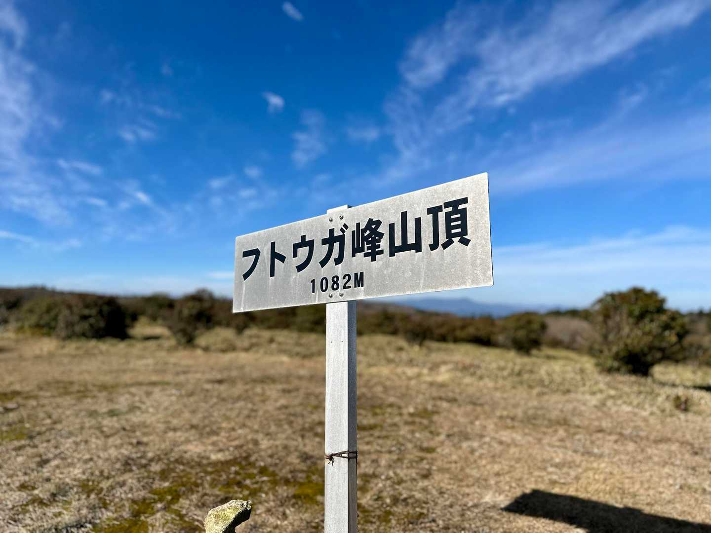 到着👏
