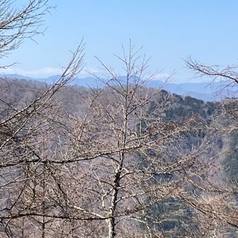 うっすら南アルプス見えてました