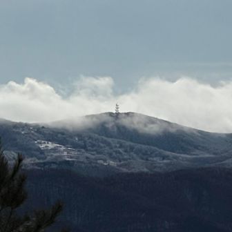 お隣の山、入笠山。
ビーフシチュー食べにいくか悩んだ。