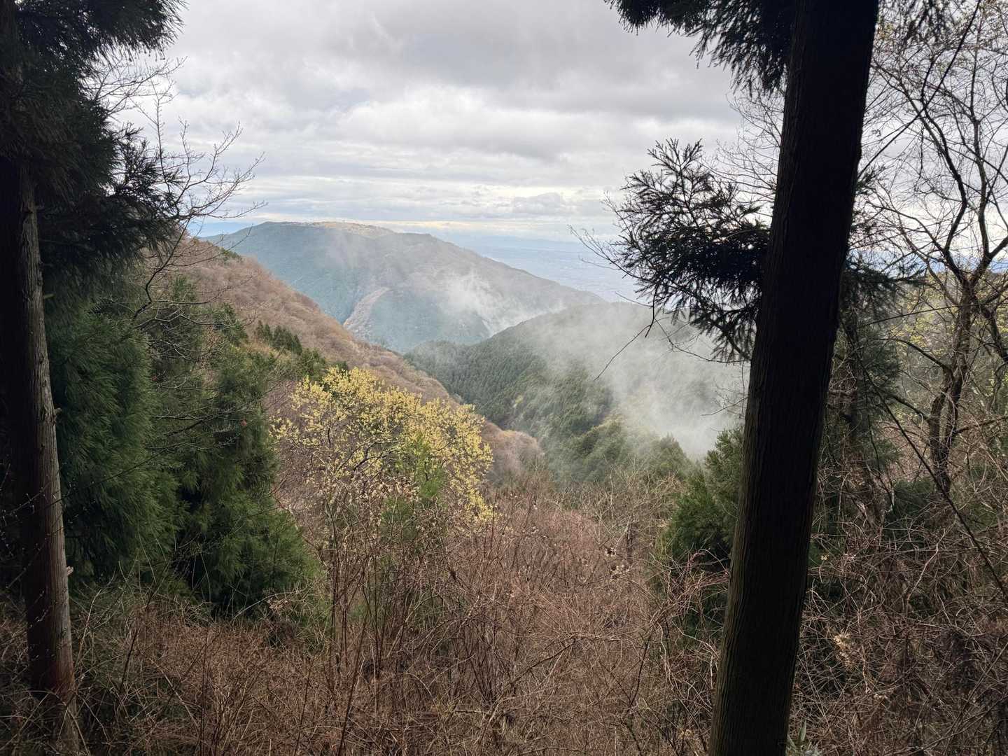 金剛山途中から大和葛城山。