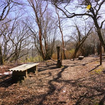 三国山 山頂。
昔の相模国(神奈川)、駿河国(静岡）、伊豆国(静岡）三国の境界点（なお、外輪山は現在の神奈川県と静岡県の境界）。眺望なし。