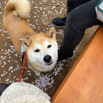 そんな目で見つめないで🥰