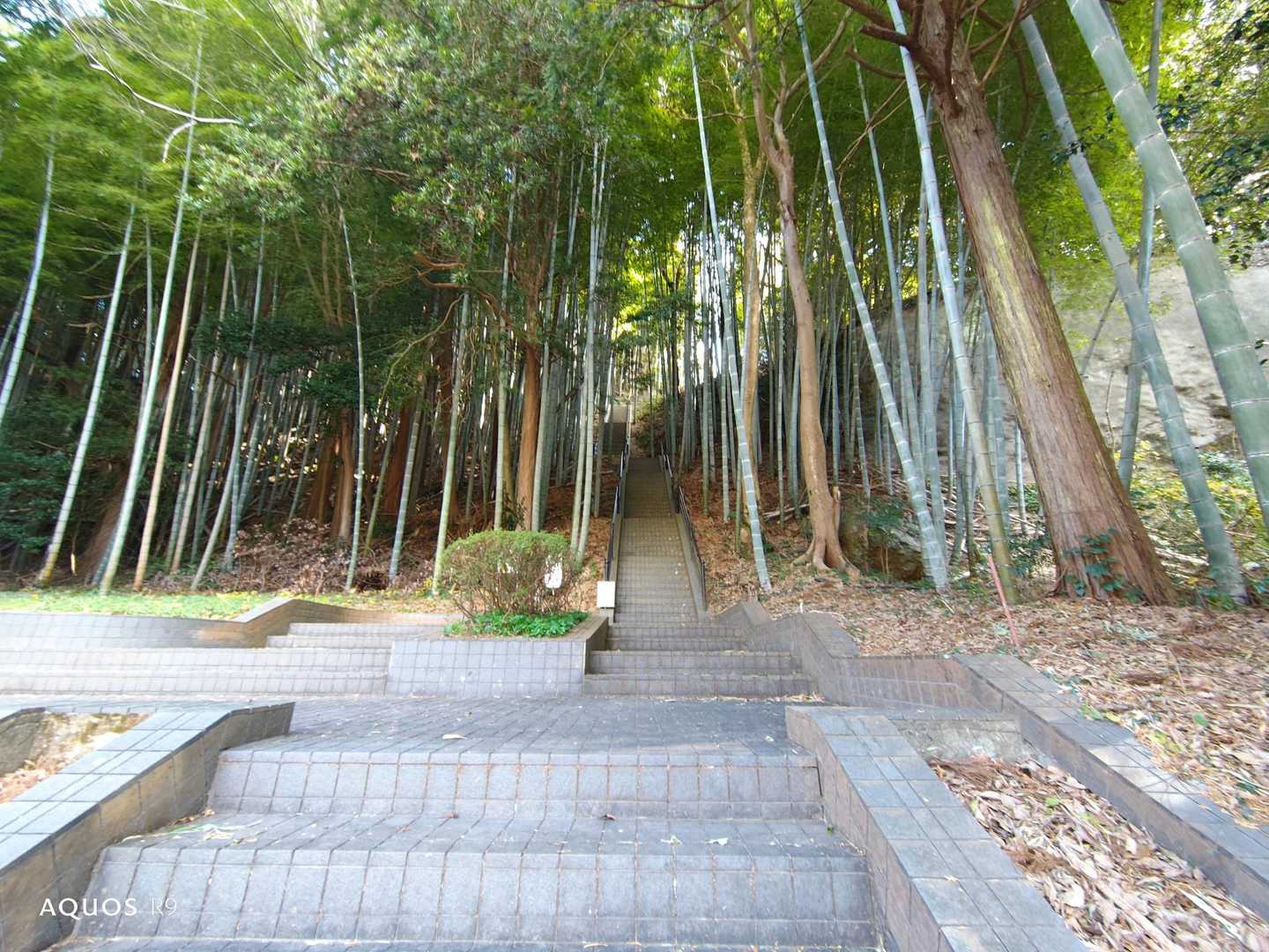 馬山 往復コースの写真