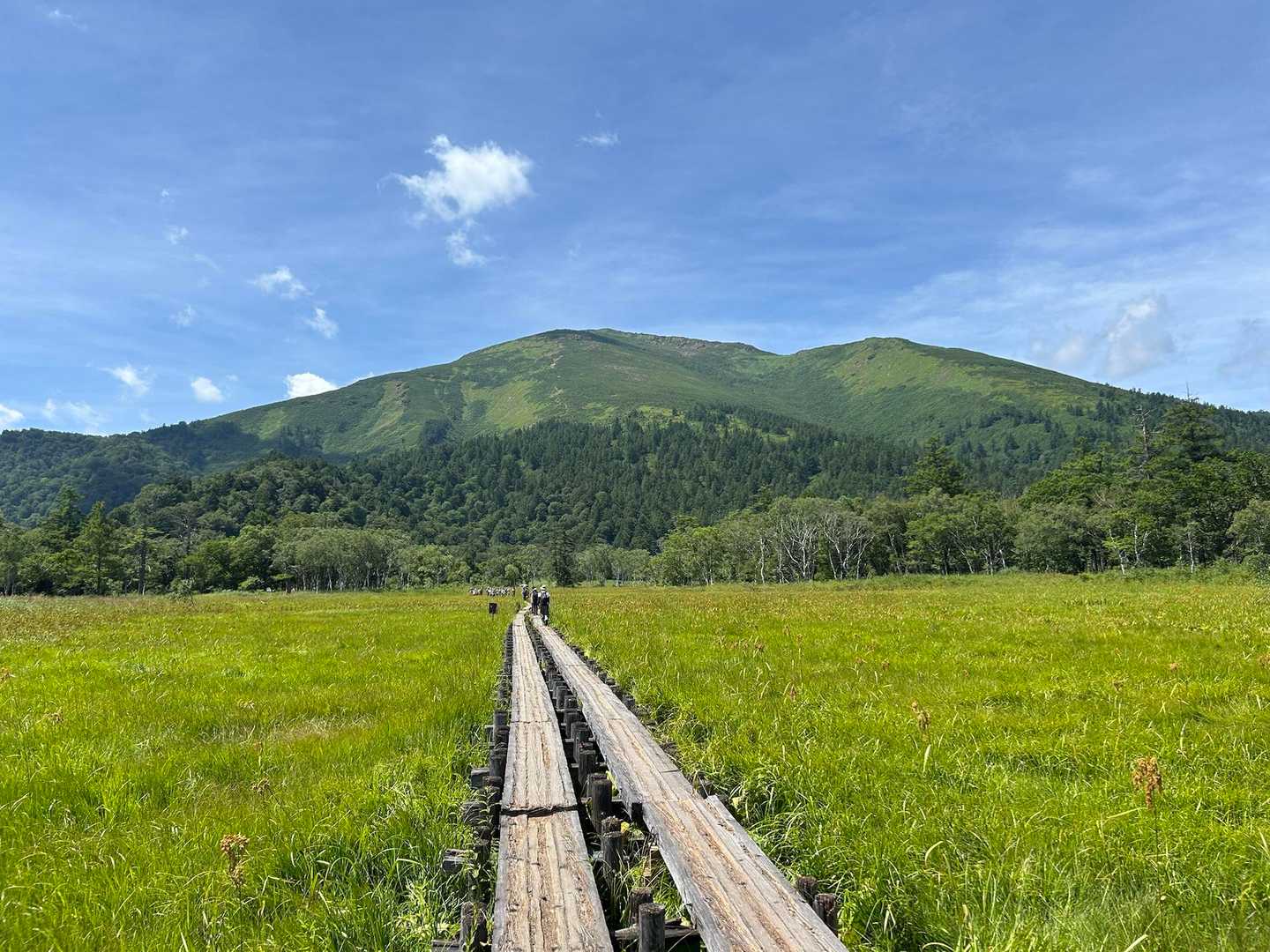 尾瀬ヶ原を散策🚶‍♀️
至仏山がきれいに見えてテンション上がる⤴️
