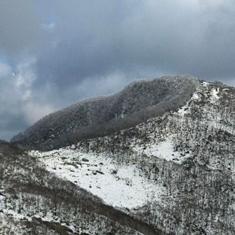 北斜面は樹氷。