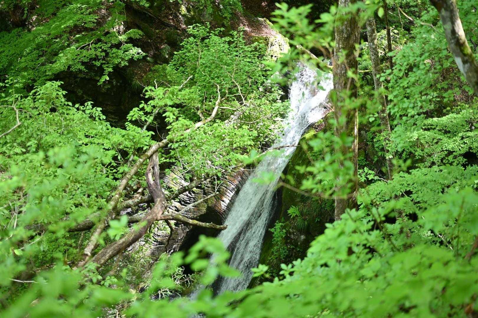 滝～

このコースは常にサワサワ、ジャブジャブいってて心地良い