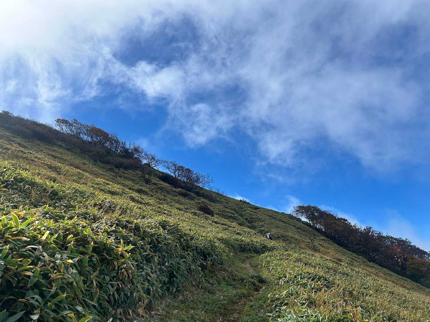 これが笹ヶ峰💙