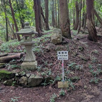 権現峠