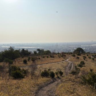 さて朝活ハイク
かなり低い割に加古川の海岸方面を眺めると爽快