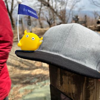 ベイファンの山友さんがつけてたマスコットがかわいかった〜
添乗員さんみたいよね🥰
でも、わたしはドラファンなのでつけるならドアラのやつね🐨