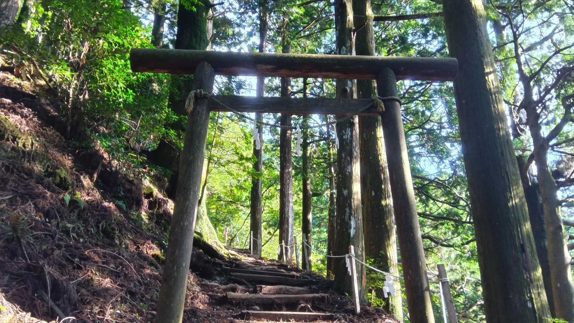 山頂につきあってもらいます💃
