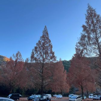 最後まで見て頂きありがとうございました🙇‍♂️