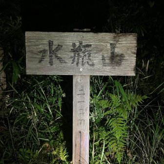 眺望あり