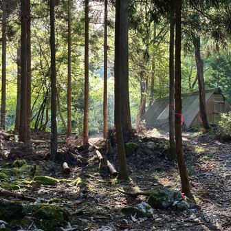 ここで林道は終わり
川沿いの登山道を登っていく