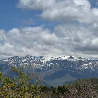 コツぶり山山頂⛰️にて、白山🤩がドぉ〜ん、残雪が美しい。