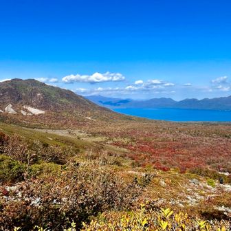 森林限界を抜け、振り返って見る景色🍁✨にご満悦の様子😄