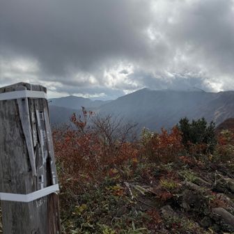 中津又から守門、被ってる😶‍🌫️