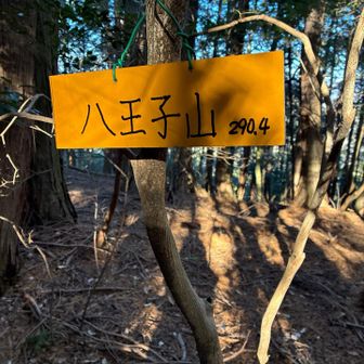 更に奥に進むと八王子山　YAMAP1828
EIZさんの山名板、健在です。