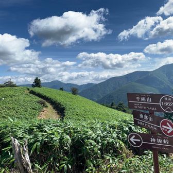 朝と全く違う景色。
今度は向こうへ行ってみます。