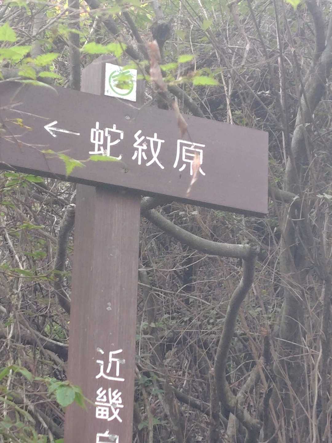 勝神峠-龍門山 往復コースの写真