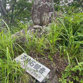 山頂標を探したけど見つからなかった