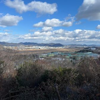 航空自衛隊岐阜基地が一望できます🤫
しばらく待ったけれど動きがないので下山
後で考えるとこの時は昼休みだったのかも…