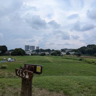 くじら山の山頂から武蔵小金井駅方向。