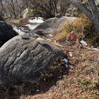 岩に耳が置かれていてかわいい