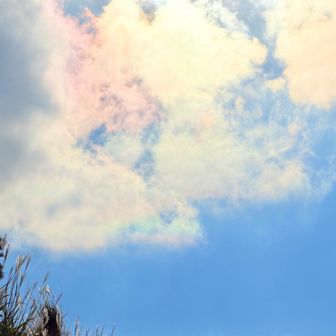 終盤に彩雲見れました😆🌈
彩雲とか見れないかなーと思って空見たら本当に見れました😳