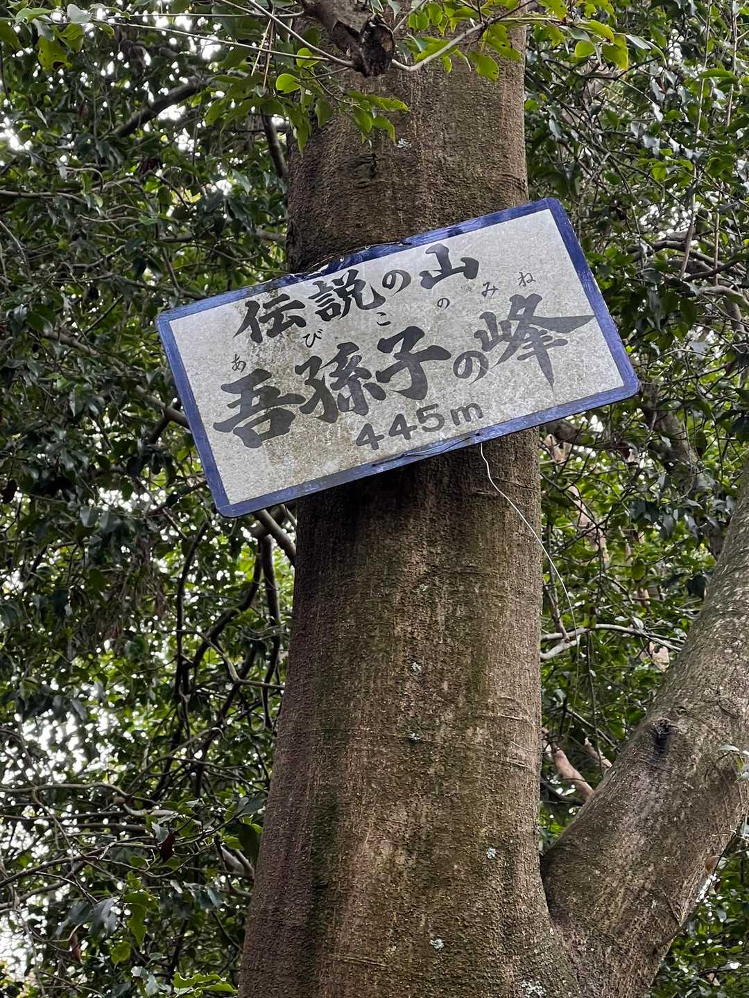 伝説の山✨
