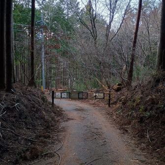 ゴール、今日も日没までに間に合った🌇