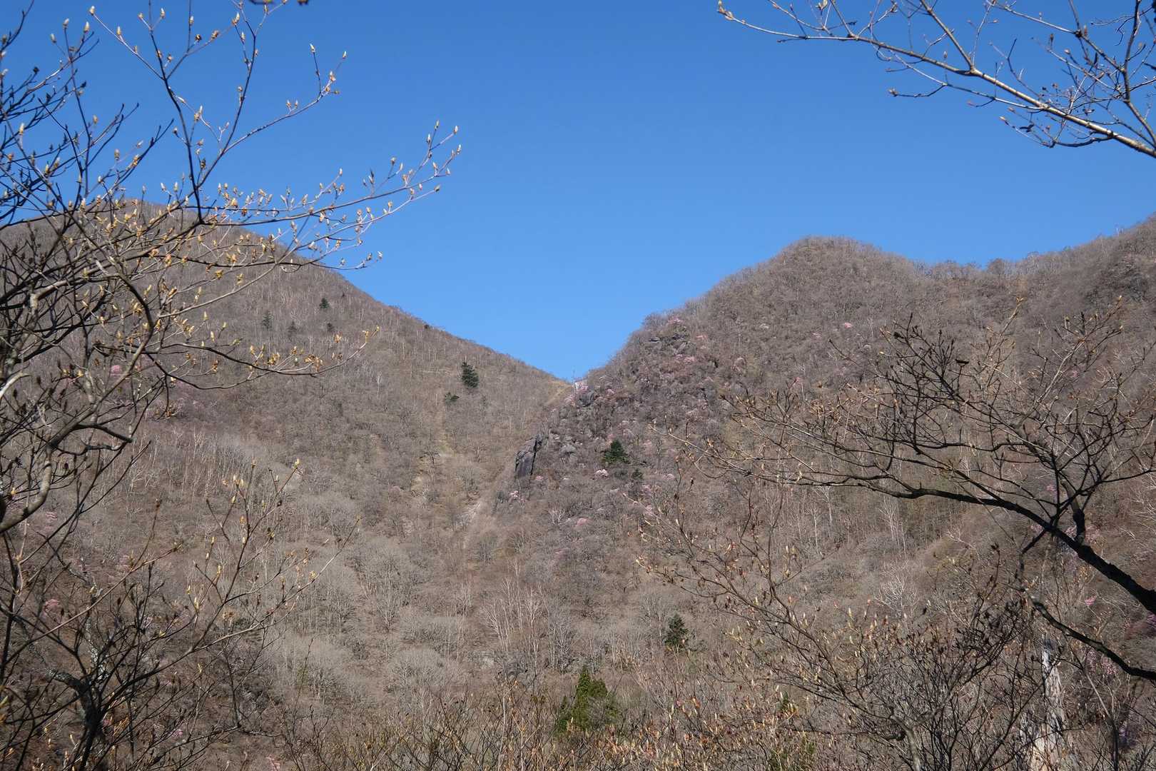 あのコルが鳥居峠ですね
