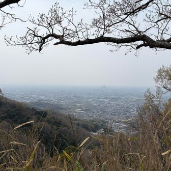 五里山からの景色