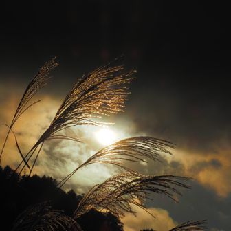 ※月みたいなのは太陽です
※夜に見えますが16:23です