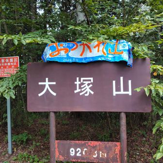 セルフタイマーにしようとしたけど良い土台が無く、自撮りしようとしたら手が短くて結果コレに