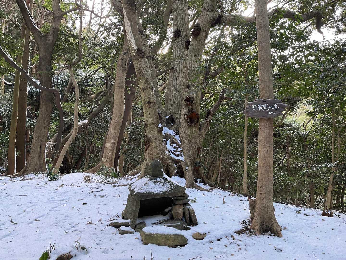 転びませんように〜🙏