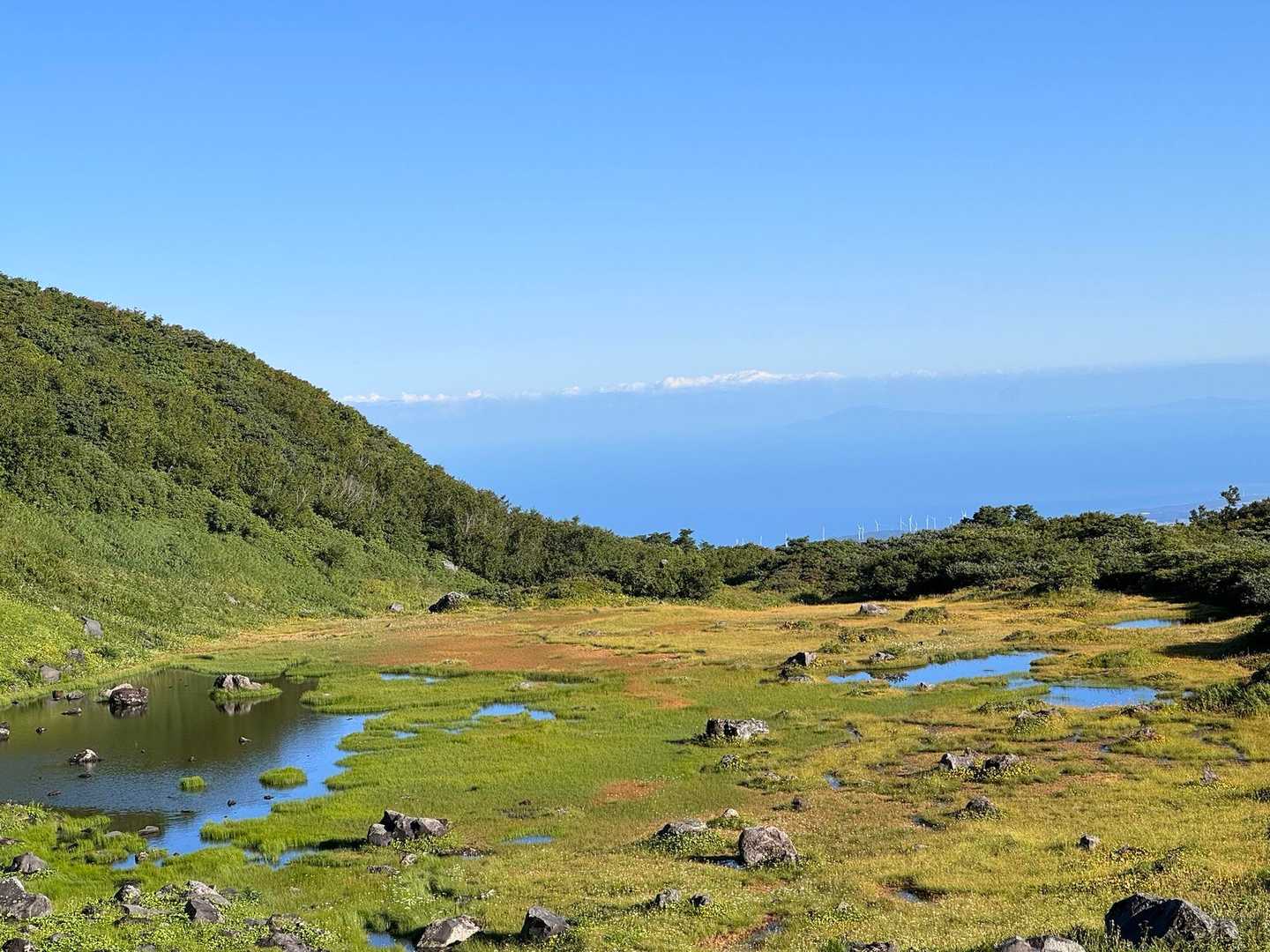 綺麗な湿地ですな☺️